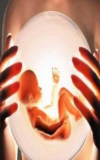 揭秘试管婴儿ivm是何含义，附助孕ep方案的意思解读