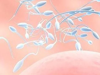 48岁还能进行特需试管生吗？