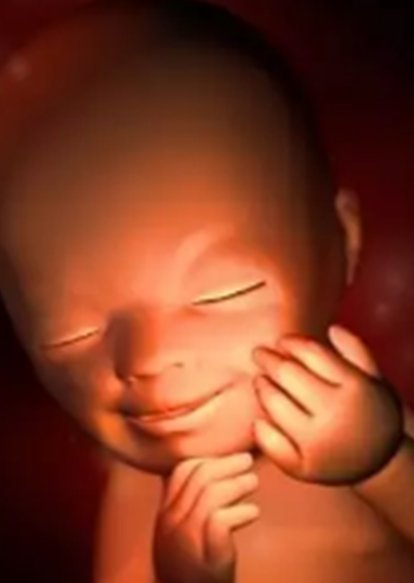 2026年泉州助孕公司排行榜单，3家助孕机构值得推荐