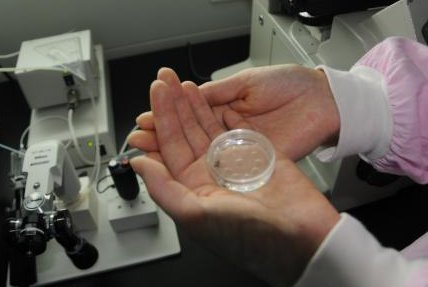 浙江助孕机构「排名榜」温州三代试管婴儿助孕医院推荐